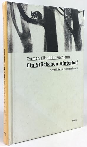 Bild des Verkufers fr Ein Stckchen Hinterhof. Novellistische Familienchronik. zum Verkauf von Antiquariat Heiner Henke