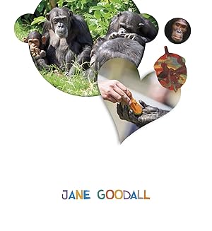 Immagine del venditore per Jane goodall 4 aos. proyectos lo ves? venduto da Imosver