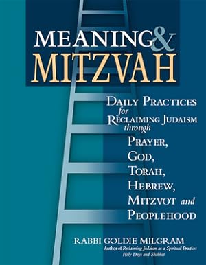 Seller image for Meaning & Mitzvah: Daily Practices for Reclaiming Judaism Through Prayer, God, Torah, Hebrew, Mitzvot and Peoplehood (Hardback or Cased Book) for sale by BargainBookStores