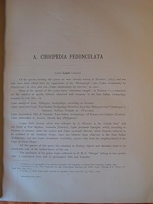 A. Cirripedia Pedunculata