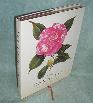 The Camellia. Fifty Three Paintings by Peter Longhurst