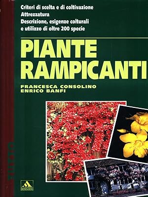 Imagen del vendedor de Piante rampicanti a la venta por Librodifaccia