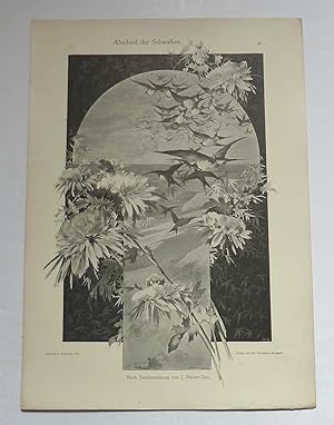 Immagine del venditore per Abscheid der Schwalben ('Dekorativ Vorbilder' Lithograph c.1905) venduto da Maynard & Bradley