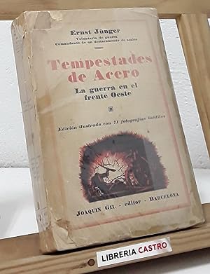 Tempestades de acero. La guerra en el Frente Oeste