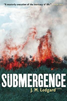 Seller image for Submergence (Paperback or Softback) for sale by BargainBookStores