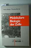 Imagen del vendedor de Molekulare Biologie der Zelle a la venta por Antiquariat Bookfarm