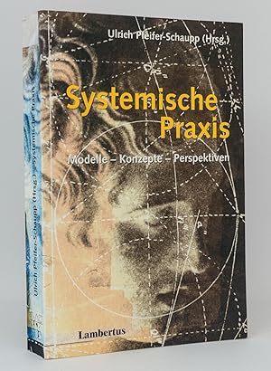 Seller image for Systemische Praxis : Modelle, Konzepte, Perspektiven for sale by exlibris24 Versandantiquariat