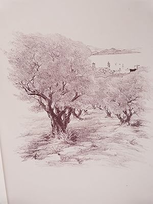 Seller image for Les arbres enchants for sale by Librairie KOEGUI