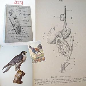 Les oiseaux de France XXVI Volume 1 Introduction à l`Etude de l`Ornithologir Rapacea, Gallinacés,...