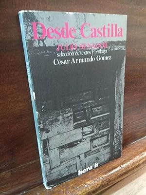 Imagen del vendedor de Desde Castilla a la venta por Libros Antuano