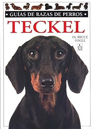 Teckel. guias razas de perros daschund