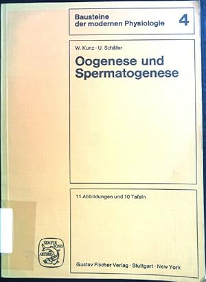 Immagine del venditore per Oogenese und Spermatogenese. Bausteine der modernen Physiologie ; 4 venduto da books4less (Versandantiquariat Petra Gros GmbH & Co. KG)