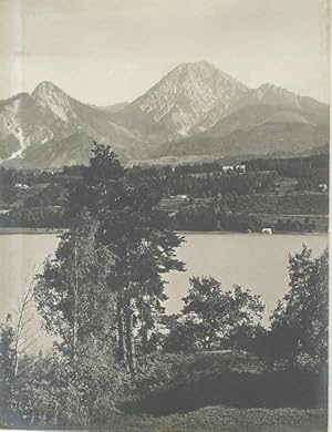 Immagine del venditore per 11437b. Faakersee mit dem Mittagskofel. venduto da Studio Bibliografico Adige
