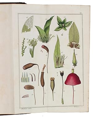Bild des Verkufers fr An introduction to the study of cryptogamous plants. In letters.London, J. White, 1807. 8vo. With 10 hand-coloured folding engraved plates. Contemporary calf. zum Verkauf von ASHER Rare Books