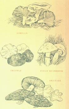 Dust Jacket for The Mushroom Feast. Price clipped.