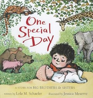 Bild des Verkufers fr One Special Day: A Story for Big Brothers & Sisters (Hardback or Cased Book) zum Verkauf von BargainBookStores