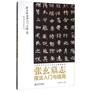 Image du vendeur pour Introduction to the Zhang Xuan epitaph technique and improve the youth calligraphy entry and improve(Chinese Edition) mis en vente par liu xing