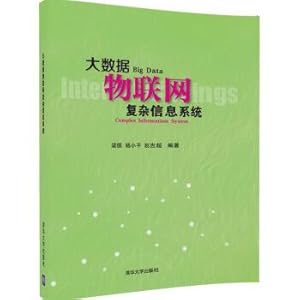 Imagen del vendedor de Big data iot complex information system(Chinese Edition) a la venta por liu xing