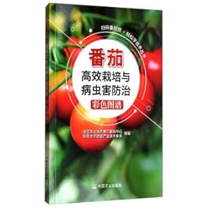 Imagen del vendedor de Sweep the code to see video. easy to learn technology series: tomato color spectrum efficient cultivation and pest control(Chinese Edition) a la venta por liu xing