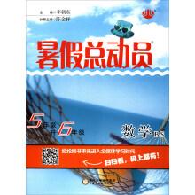 Imagen del vendedor de Summer story: mathematics (grade 5 litres of BS in the sixth grade)(Chinese Edition) a la venta por liu xing