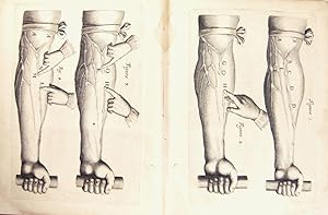 Bild des Verkufers fr De Motu Cordis & sanguinis in animalibus, anatomica exercitatio. Cum refutationibus Aemylii Parisani, romani, philosophi, ac medici Veniti; et Jacobi Primrosii, in Londinensi collegio doctoris medici zum Verkauf von Hugues de Latude