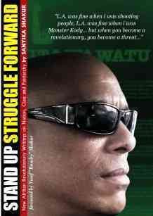 Bild des Verkufers fr Stand Up, Struggle Forward : New Afrikan Revolutionary Writings on Nation, Class and Patriarchy zum Verkauf von GreatBookPrices