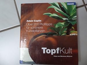 Image du vendeur pour TopfKult. ber 200 Profitipps fr schnere Kbelpflanzen. Hardcover mit Schutzumschlag mis en vente par Deichkieker Bcherkiste