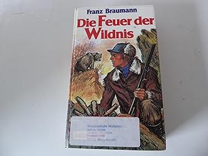 Immagine del venditore per Die Feuer der Wildnis. Jugendbuch fr Lesealter ab 11 Jahren venduto da Deichkieker Bcherkiste