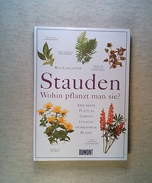 Seller image for Stauden, Wohin pflanzt man sie? for sale by ANTIQUARIAT Franke BRUDDENBOOKS