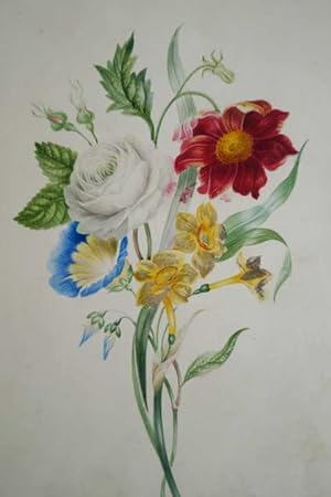 Blumen. Original aquarellierte Zeichnung auf festem Karton um 1850