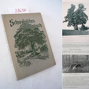 Schwäbisches Baumbuch. Mit 26 Tafeln in Lichtdruck und 61 Abbildungen im Text