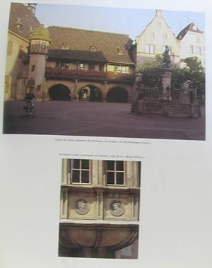 Imagen del vendedor de Le grand livre des vins d'Alsace a la venta por crealivres