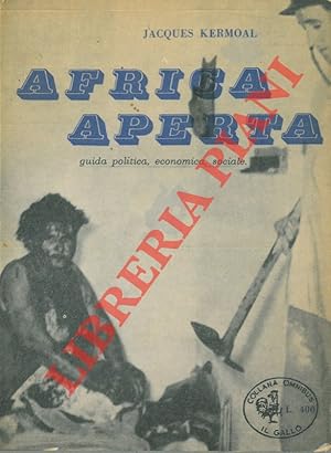 Africa aperta. Guida politica, economica, sociale.