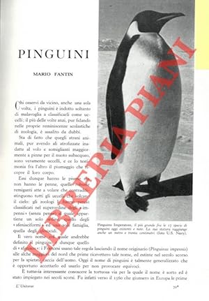 Bild des Verkufers fr Pinguini. zum Verkauf von Libreria Piani