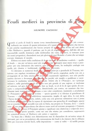 Feudi medicei in provincia di Pisa.
