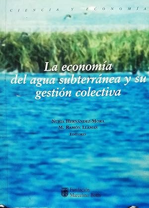 La economía del agua subterránea y su gestión colectiva