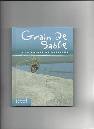 Grain de sable à la pointe de Bretagne
