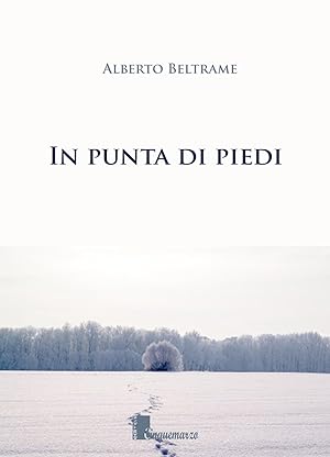 Bild des Verkufers fr In punta di piedi zum Verkauf von Libro Co. Italia Srl