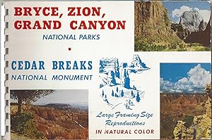 Bryce, Zion, Grand Canyon National Parks - Cedar Breaks National Monument. Large Framing Size Rep...