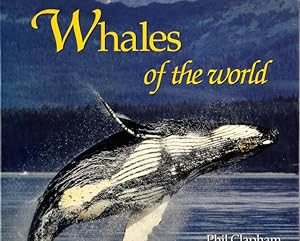 Seller image for WHALES OF THE WORLD (Worldlife Discovery Guides). for sale by ABLEBOOKS