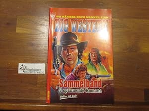 Image du vendeur pour Big Western Nr. 31, 3 spannende Romane: Die Schlacht um Durango, Black-Lady, Die Larrigan-Brder mis en vente par Antiquariat im Kaiserviertel | Wimbauer Buchversand