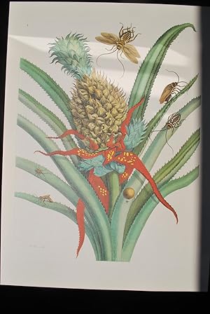 Bild des Verkufers fr Metamorphosis Insectorum Surinamensium zum Verkauf von ShepherdsBook