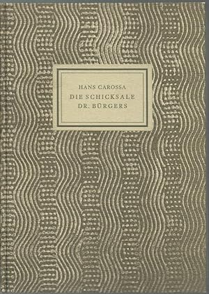 Die Schicksale Doktor Bürgers. Mit Federzeichnungen von Karl Schmid.