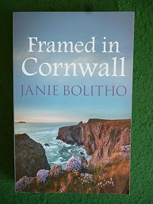 Seller image for Framed In Cornwall for sale by Shelley's Books