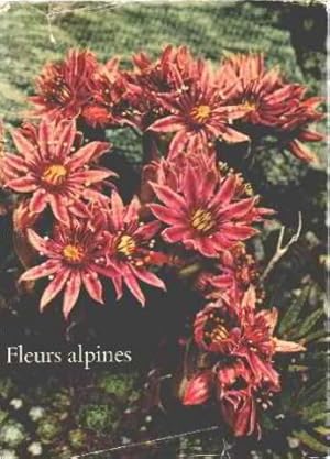 Fleurs alpines