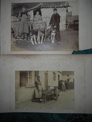 TWO Antique Photographs c. 1890s of People with Dog Carts (Dogcarts) . Milk Delivery Dog Carts