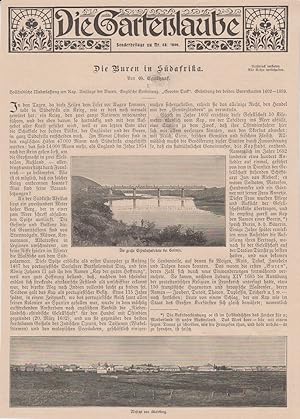 Orig. Holzstich: Die Gartenlaube. Sonderbeilage zu Nr. 48, 1899. 4 Seiten mit 4 Stichen.
