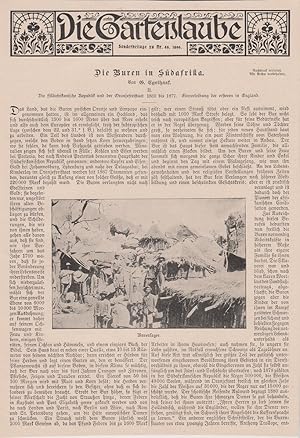 Orig. Holzstich: Die Gartenlaube. Sonderbeilage zu Nr. 49, 1899. 4 Seiten mit 4 Stichen.