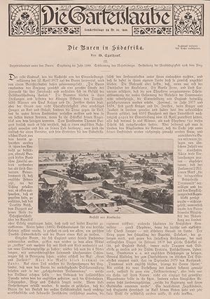 Orig. Holzstich: Die Gartenlaube. Sonderbeilage zu Nr. 50, 1899. 4 Seiten mit 6 Stichen.