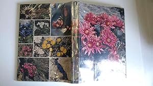 Seller image for Fleurs Alpines for sale by Goldstone Rare Books